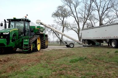Yargus Cross Auger